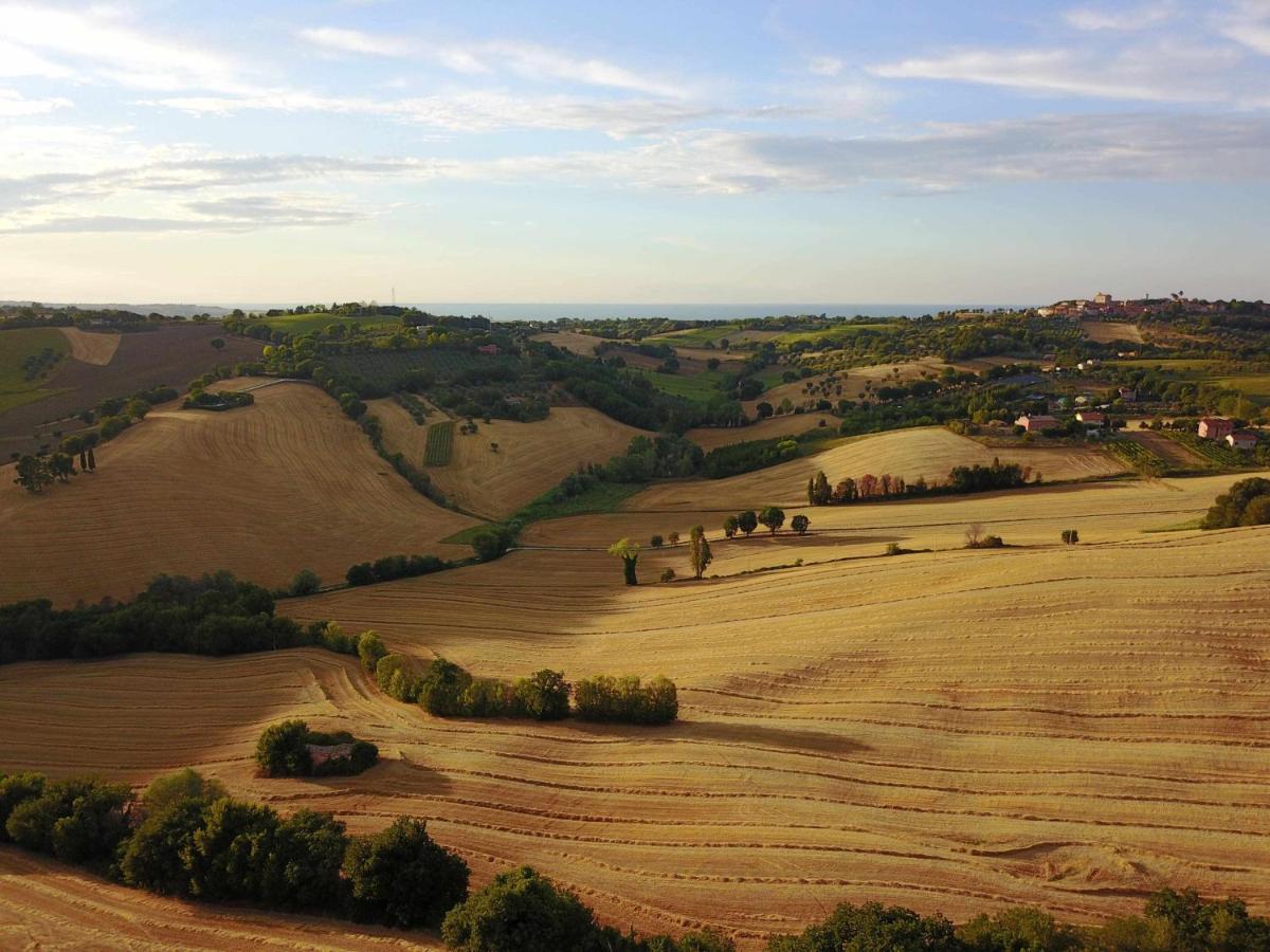 Bed and Breakfast La Meriggia Senigallia Agriturismo Ankona Zewnętrze zdjęcie